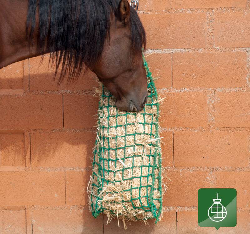 SACO PORTOVERDE 7,5 KG - Imagen 2